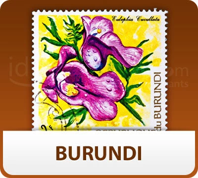 Escarpment Coffee Roasters Green Coffee Burundi - Green - 1lb 3 Escarpment Coffee Roasters Green Coffee Burundi - Green - 1lb