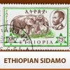 Escarpment Coffee Roasters Ethiopian Sidamo - Green - 1lb Green Coffee