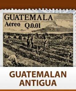 Escarpment Coffee Roasters Guatemalan Antigua - Green - 1lb Green Coffee