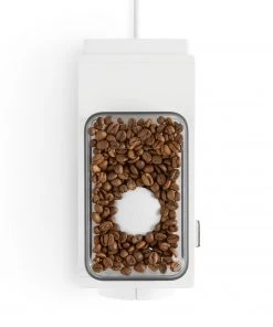 Fellow Ode Brew Grinder - White Tea