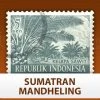 Escarpment Coffee Roasters Sumatra Mandheling FTO - Green - 1lb Green Coffee