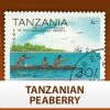 Escarpment Coffee Roasters Tanzanian Peaberry- Green 1lb