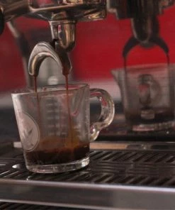 Rhinowares Rhino Coffee Gear Shot Glass - 80 Ml / Double Tea 11 Rhinowares Rhino Coffee Gear Shot Glass - 80 Ml / Double Tea